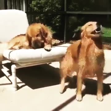 When you’re minding your business and a random backs that thing up like you asked for it.