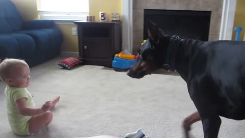 adorable baby playing with dog