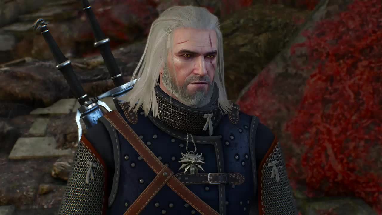 Two swords one Witcher 19