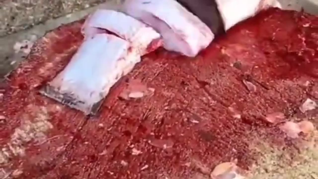 Amazing Fish Cutting Skill