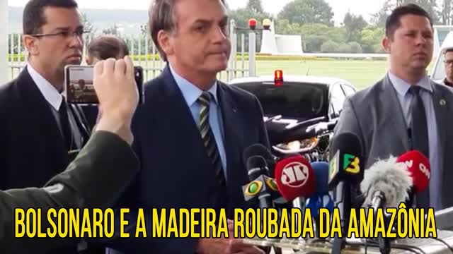 Análise de Cenário Bolsonaro e a MADEIRA ROUBADA da AMAZÔNIA