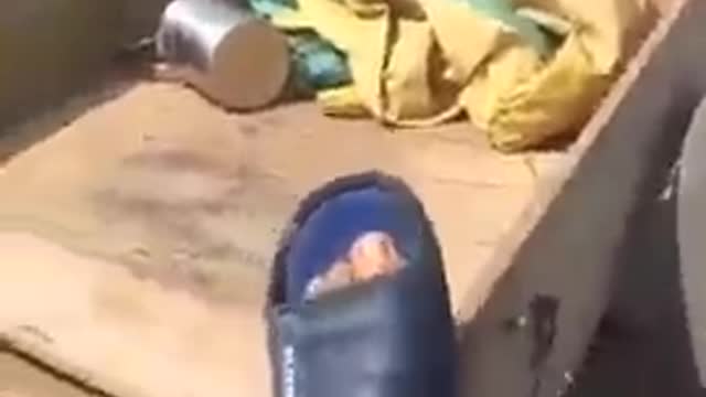 Funniest video I have ever seen🤣🤣🤣🤣🤣