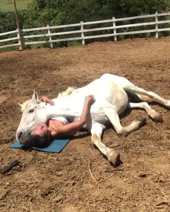 HORSE OBSESSED WITH HIS BESTFRIEND