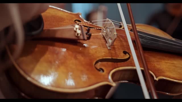 VIOLIN - The sound of the heart echoing in the mind!