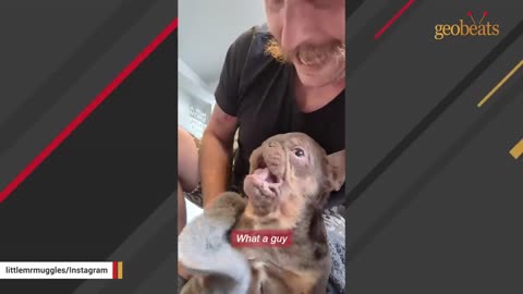 Man does the sweetest thing for his special needs dog