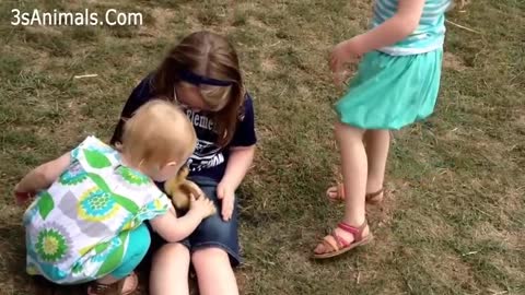 The Cutest Kids & Lovely Animals