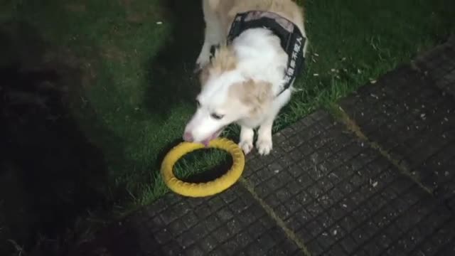 The little guy is having so much fun