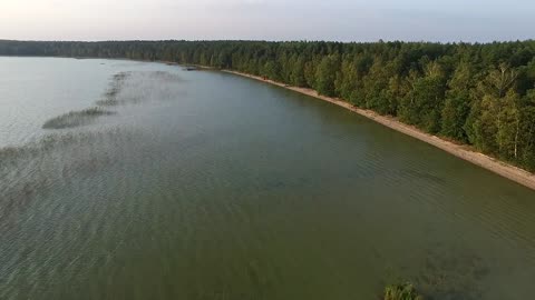 forest & water