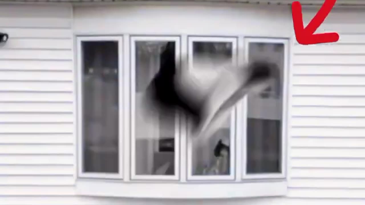 😹FUNNY MEMES😂Stunt on Skill🥵🧑_🚒Funny shorts #shorts #viral #funny #unbelievable #fails #laugh
