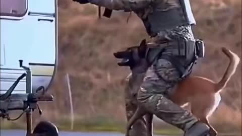 Army Special Dog- Dog Squad 😈😈