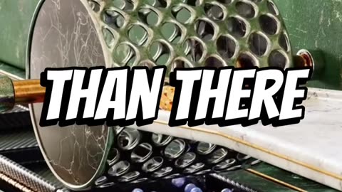 Random facts that will leave you speechless 👀