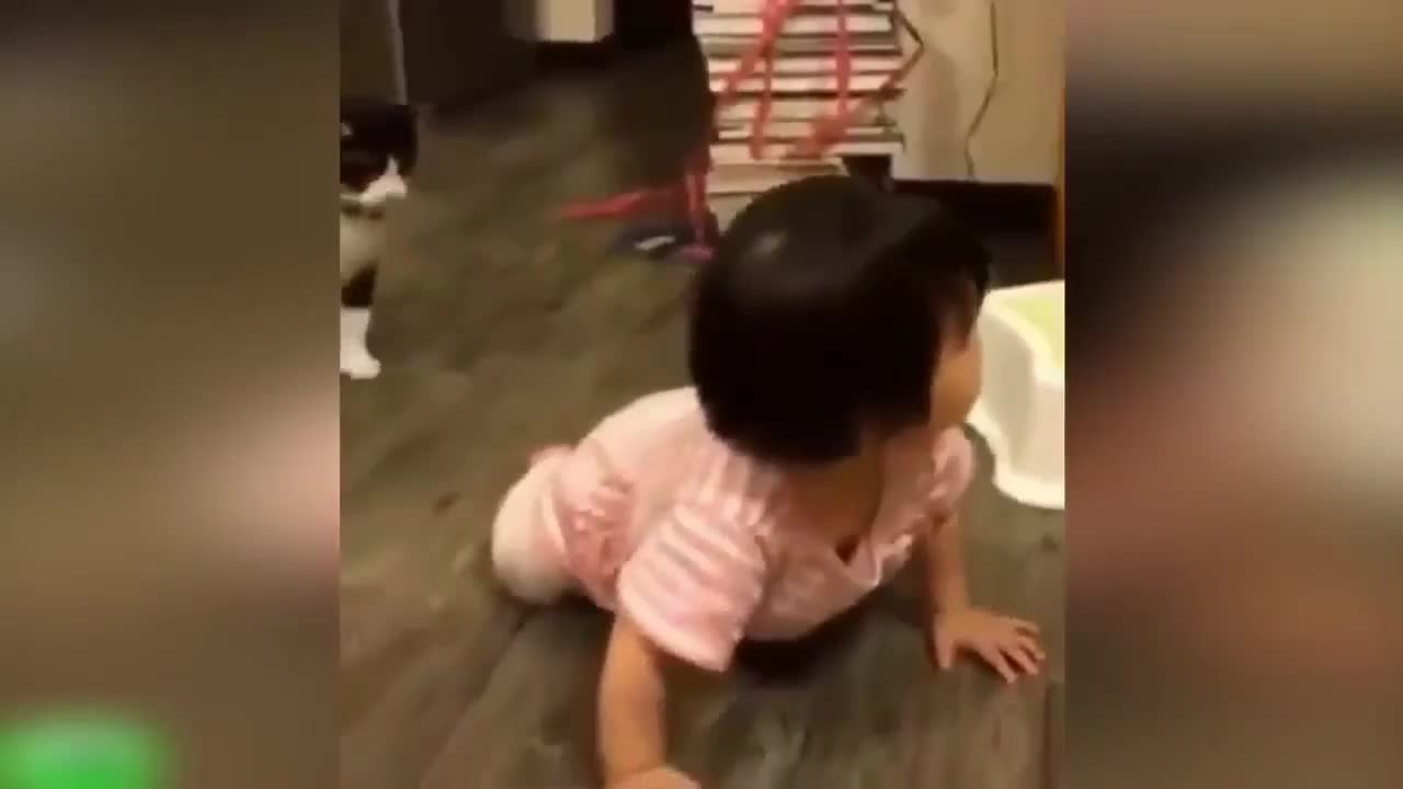 Cat trips up little girl