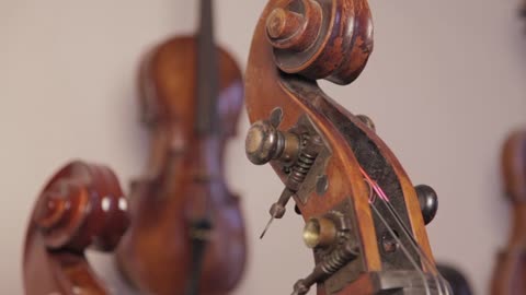 violino e baixo