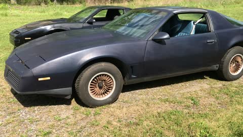 1984 Pontiac Trans Am and 1989 Pontiac Firebird together.