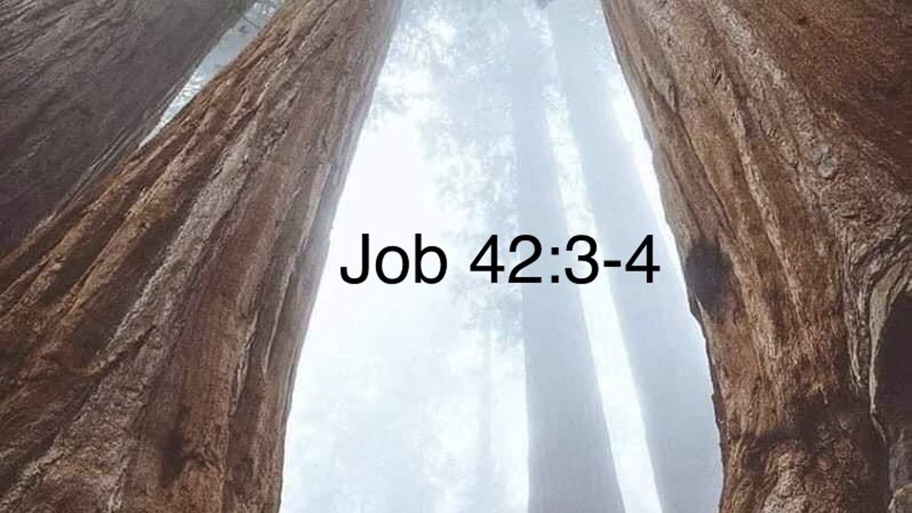 Job 42:3-4