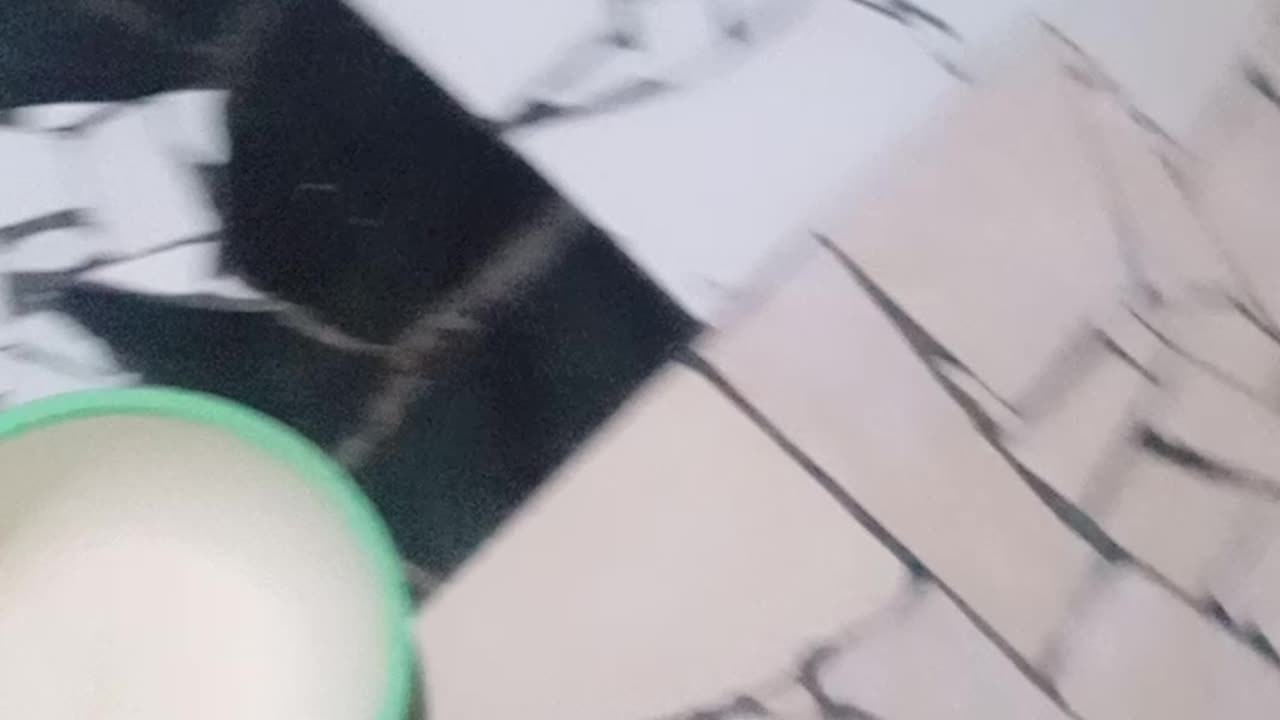 Funny cat