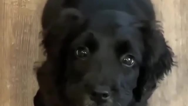 E X C I T E D