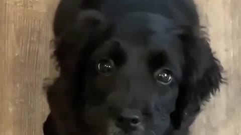 E X C I T E D