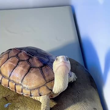 Feeding time for my adorable friend