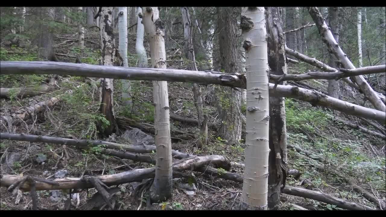 More Structures in Campground