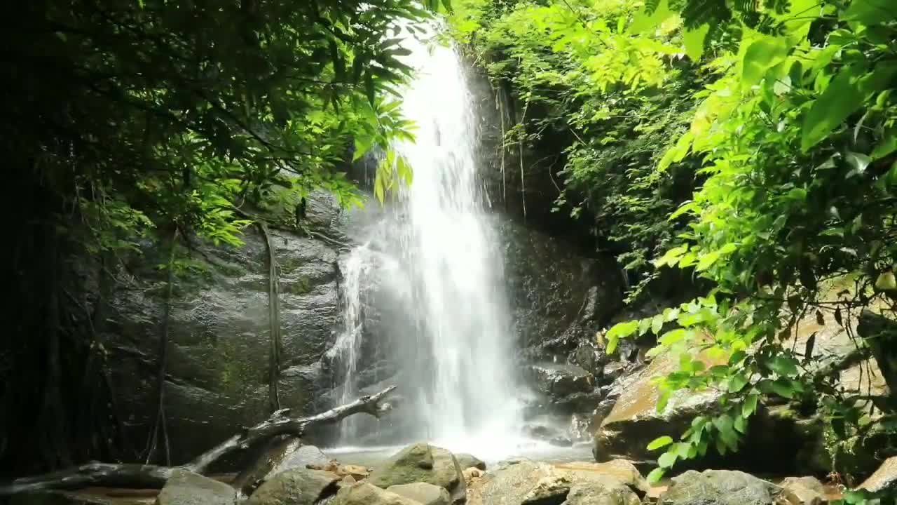 Relaxing Rainforest Sounds - Waterfalls and Singing Exotic Birds for Sleeping and Meditation