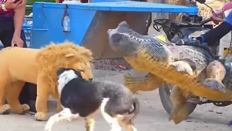Troll Prank Dog Funny & fake Lion and Fake Tiger Pranks To dog ,Huge Box Prank.Troll Video,Ep58_Troll