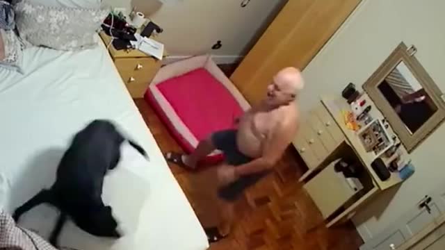 Security footage captures sweet playtime between dog & owner