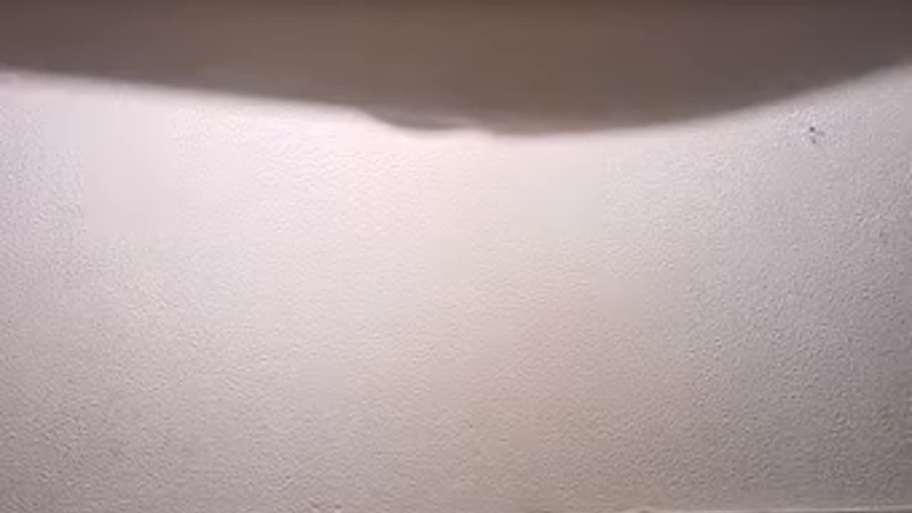 I'm Poopin' Myself Original (2020)