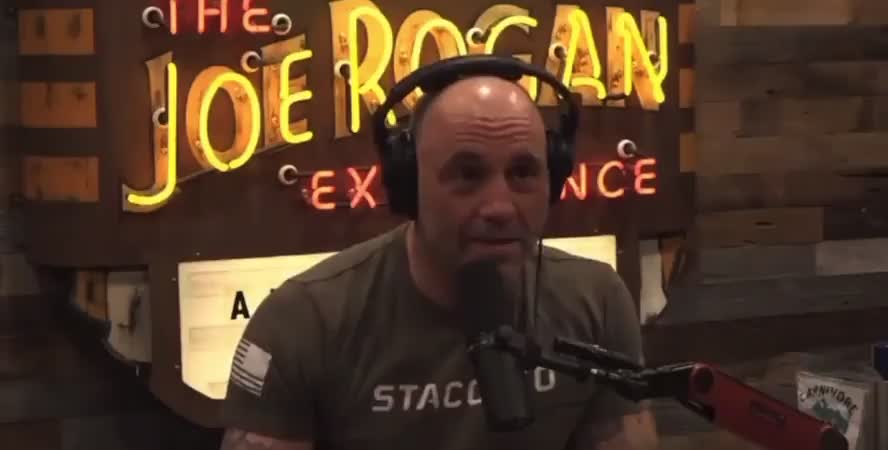 Joe Rogan EXPOSES left's "Don't Say Gay" lie, liberals scream into sky