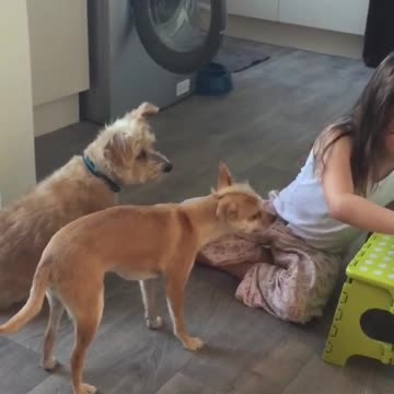 little girl dog training