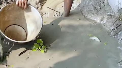Wow Amazing fishing video #catfish #unique #village #trending