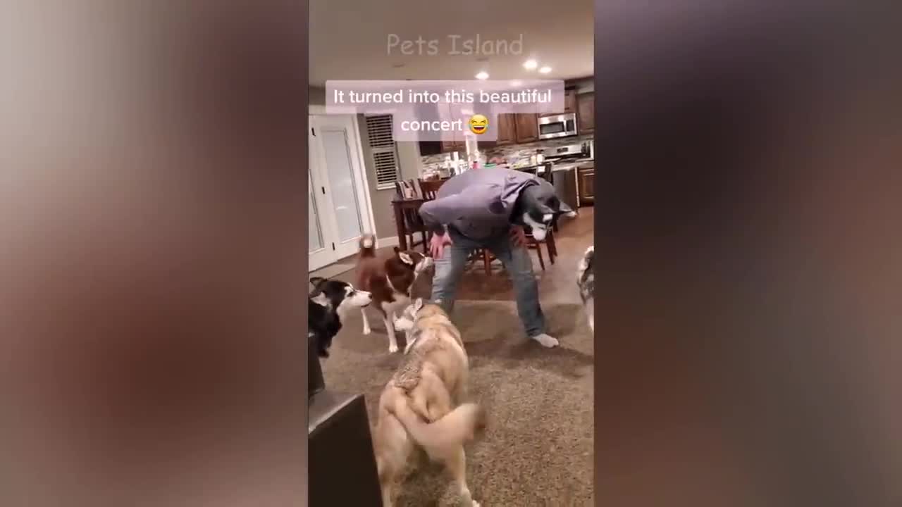 Pets Getting Scared