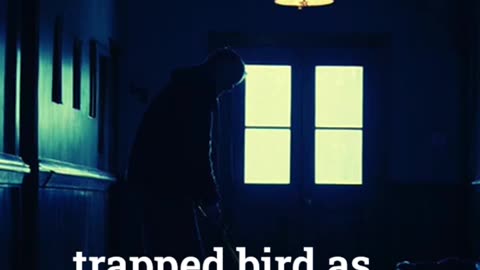 The Janitor's Dark Secret Horror Short