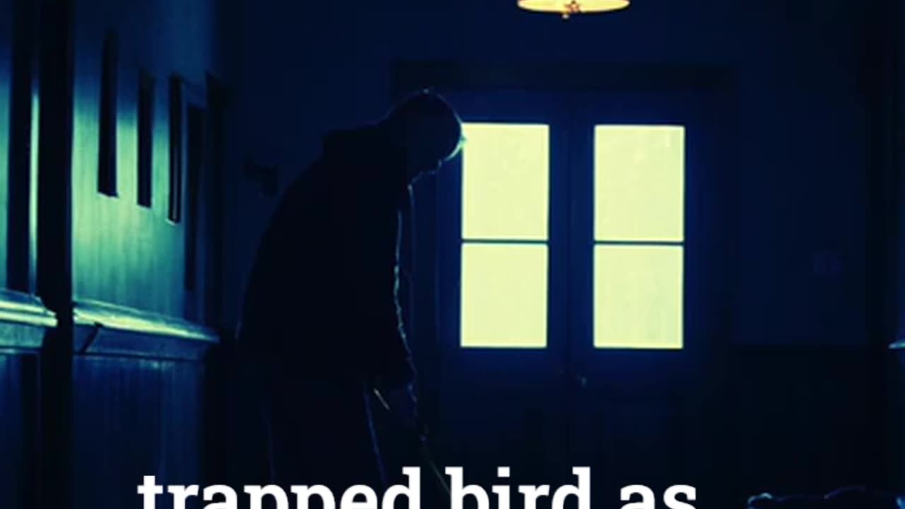 The Janitor's Dark Secret Horror Short
