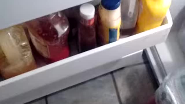 baby climbs refrigerator