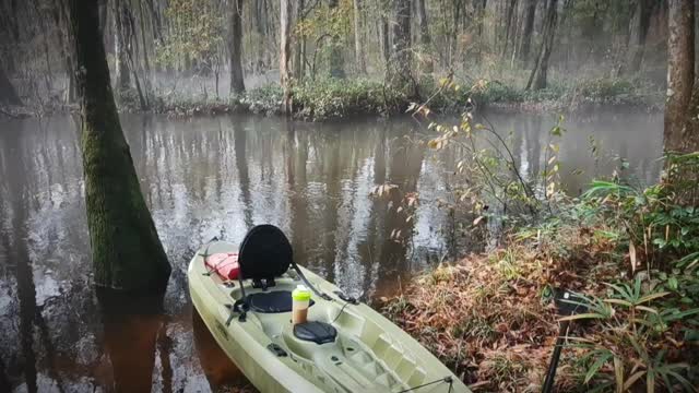 South Fork Edisto Kayaking (Flooded)