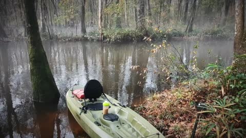 South Fork Edisto Kayaking (Flooded)