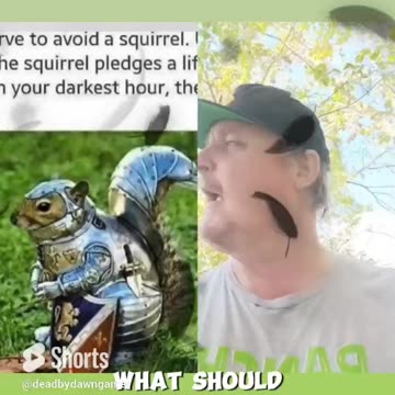 #Outnumbered no #hope, wait. Could it be the #squirrel that #pledged his #life #Oath to us_ To #war