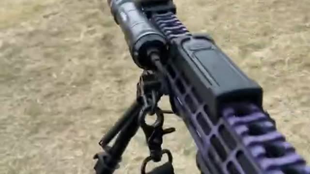 Alamo 15