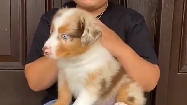 This little girl became emotional when she received her gift.