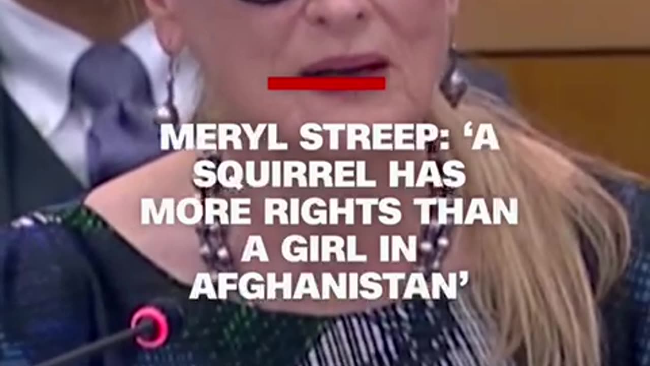 Meryl Streep addressed the UN General Assembly about how women's rights have