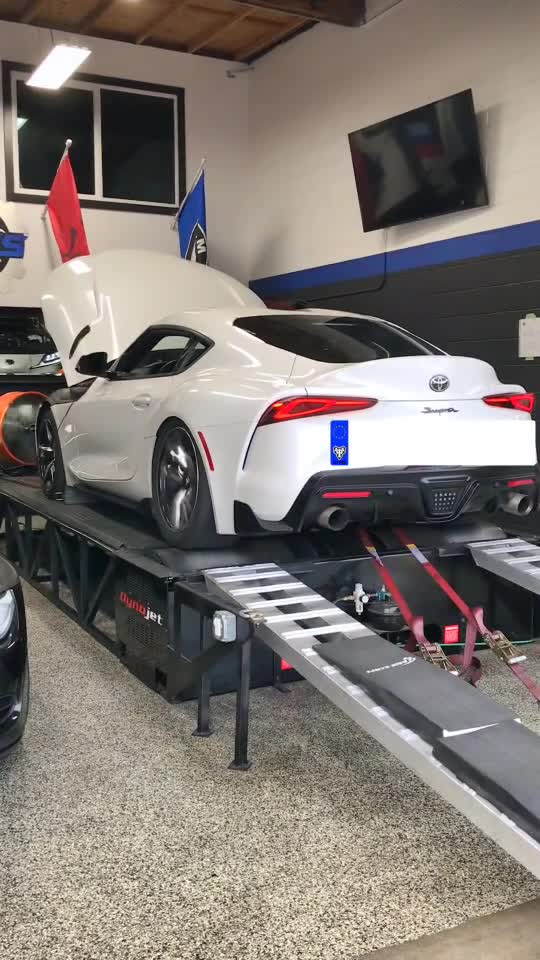 funny|prank|jokes|funny jokes|dad jokes|funny memes|funny video|fun|laughing|funny animal|knock