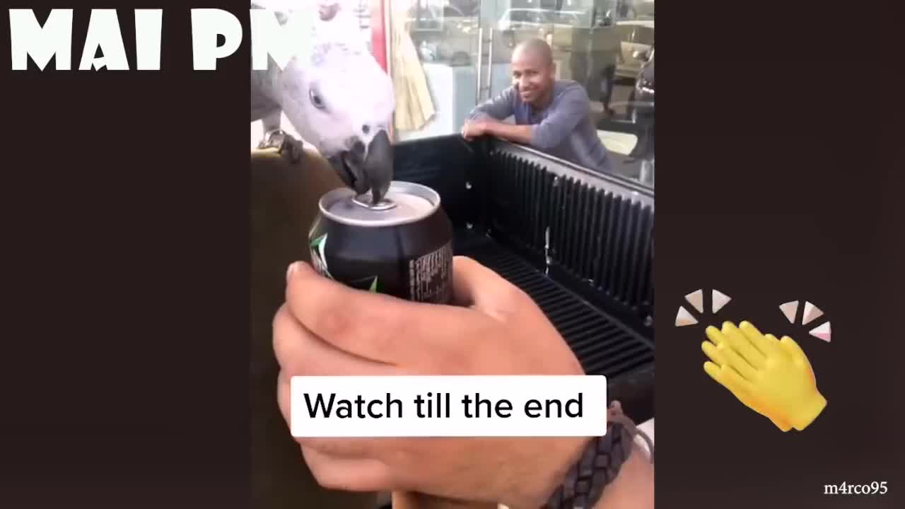 Funniest