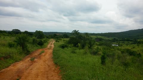 Caatinga