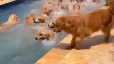 Packedparty