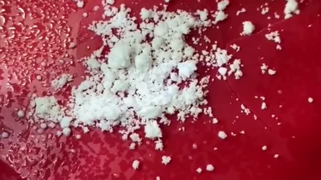 GOMA DE TAPIOCA NO MICROSCÓPIO 🔬