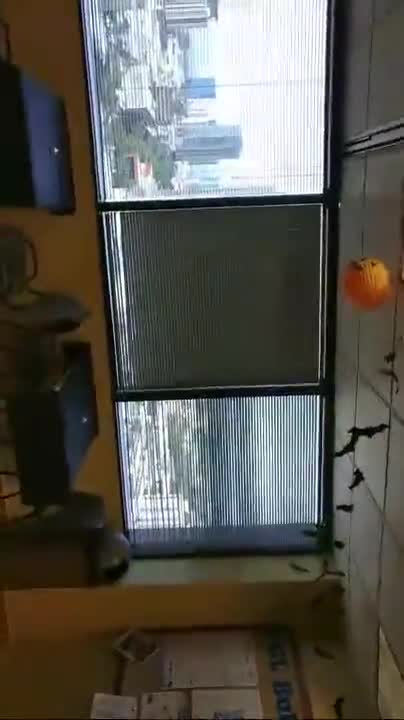 Finest halloween videos of the internet ep. 38