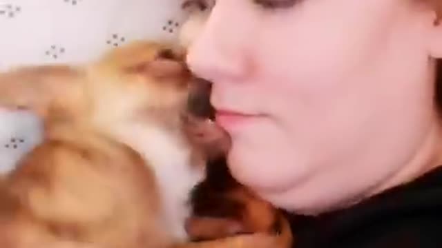 Can someone tell me why my dog acts like this