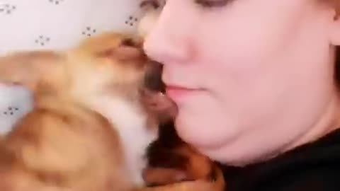 Can someone tell me why my dog acts like this