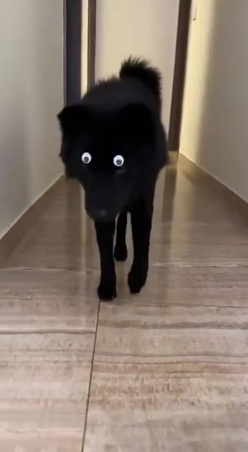 I admit it. I was fooled 😂😂🤣